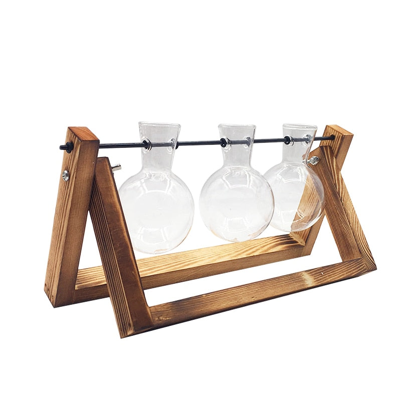 Terrarium Bouture – Support Bois & Verre