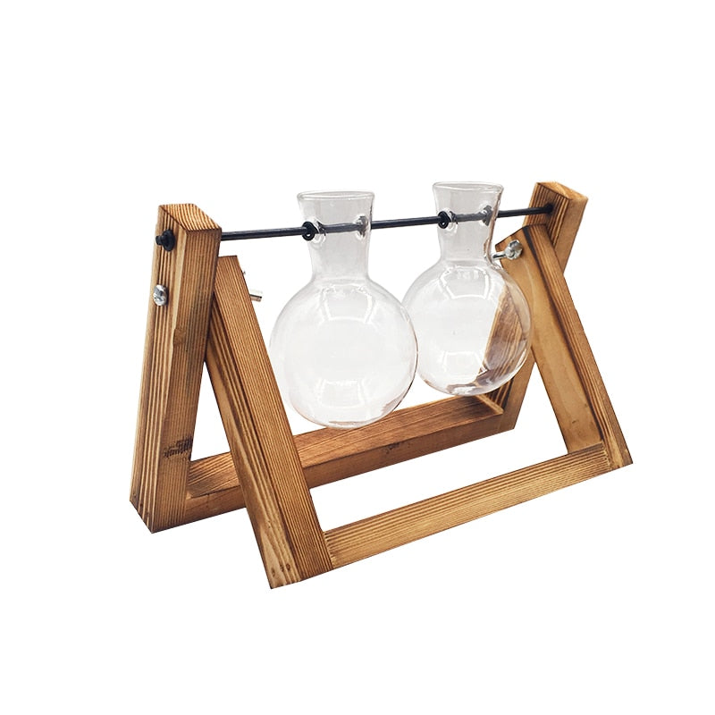Terrarium Bouture – Support Bois & Verre